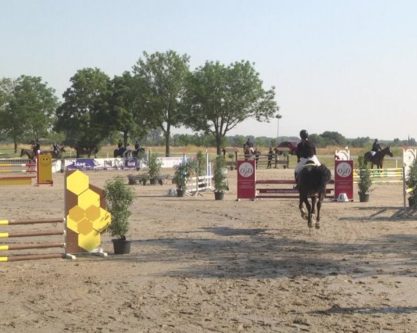 Reitturnier Biebesheim 2023