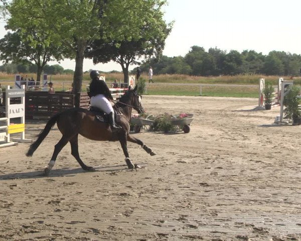 Reitturnier Biebesheim 2023