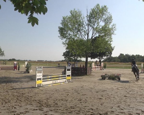 Reitturnier Biebesheim 2023