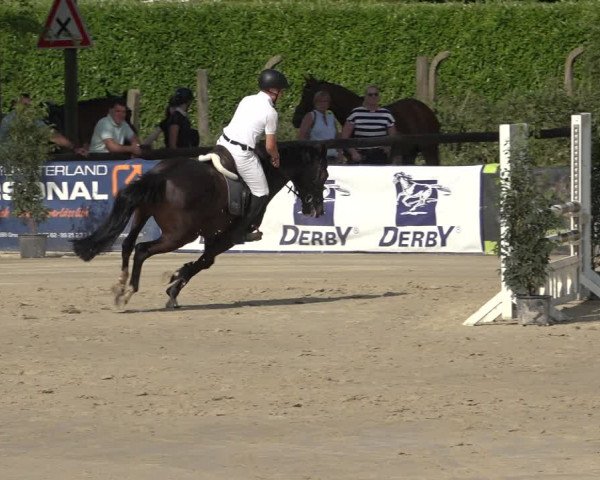 Reitturnier Ochtrup 2023