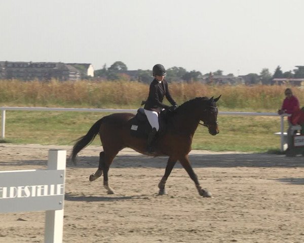Reitturnier Biebesheim 2023