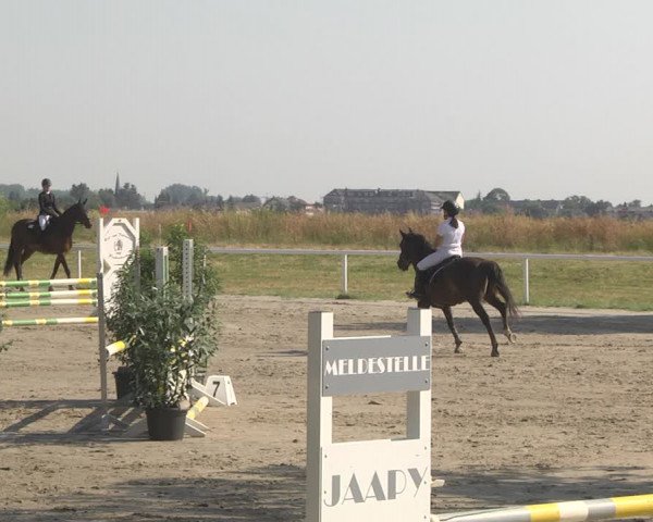 Reitturnier Biebesheim 2023