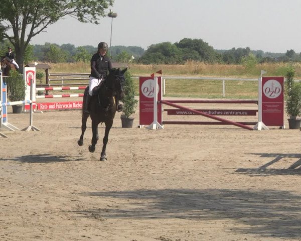 Reitturnier Biebesheim 2023