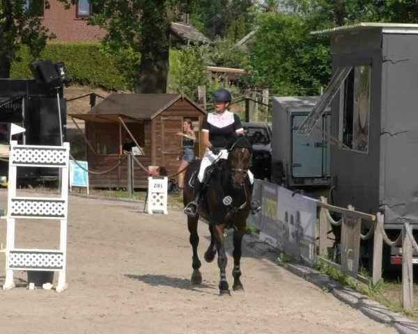 Reitturnier Handorf 2023