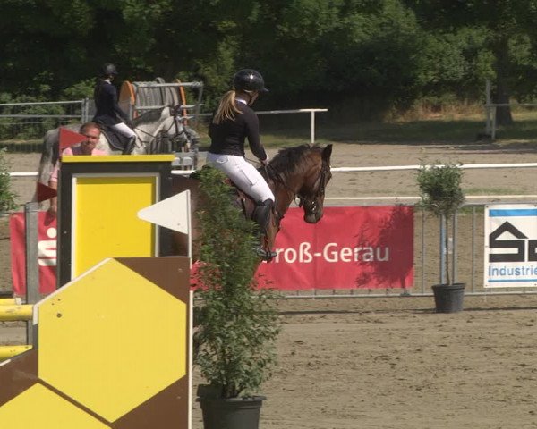 Reitturnier Biebesheim 2023