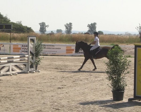 Reitturnier Biebesheim 2023