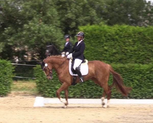 Reitturnier Wingerode 2023