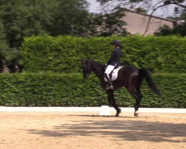 Reitturnier Wingerode 2023