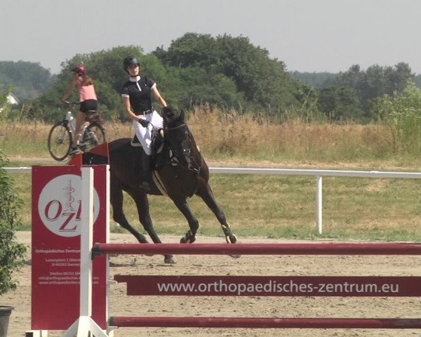 Reitturnier Biebesheim 2023