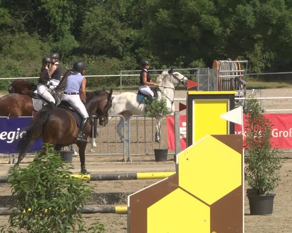 Reitturnier Biebesheim 2023