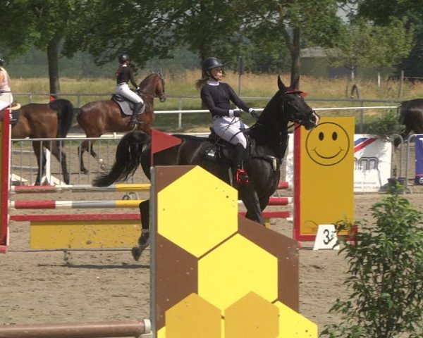 Reitturnier Biebesheim 2023