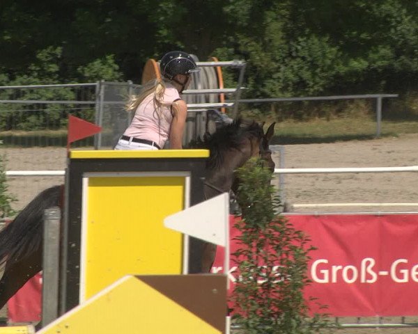 Reitturnier Biebesheim 2023