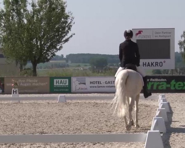 Reitturnier Rot am See- Musdorf 2023