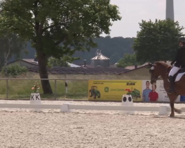 Reitturnier Rot am See- Musdorf 2023