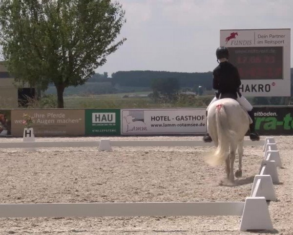 Reitturnier Rot am See- Musdorf 2023