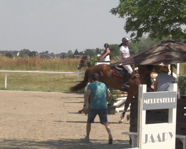 Reitturnier Biebesheim 2023