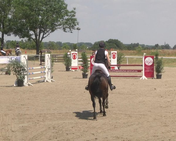 Reitturnier Biebesheim 2023