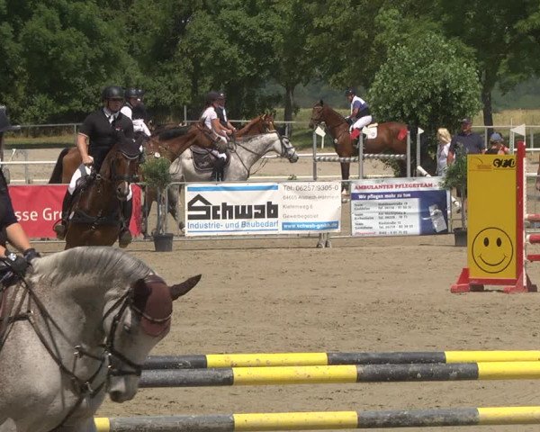 Reitturnier Biebesheim 2023