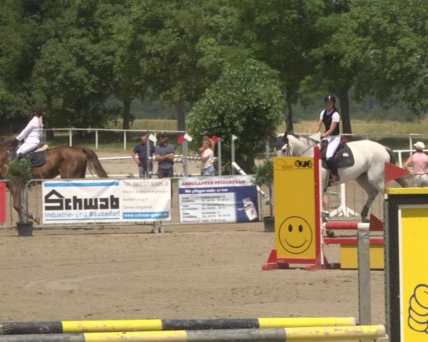 Reitturnier Biebesheim 2023