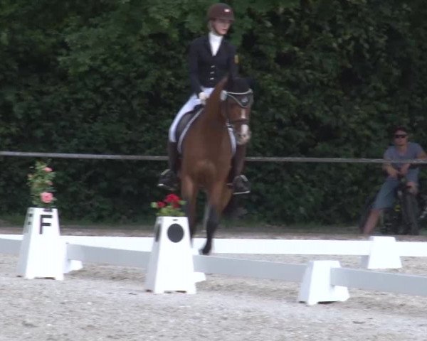 Reitturnier Rot am See- Musdorf 2023