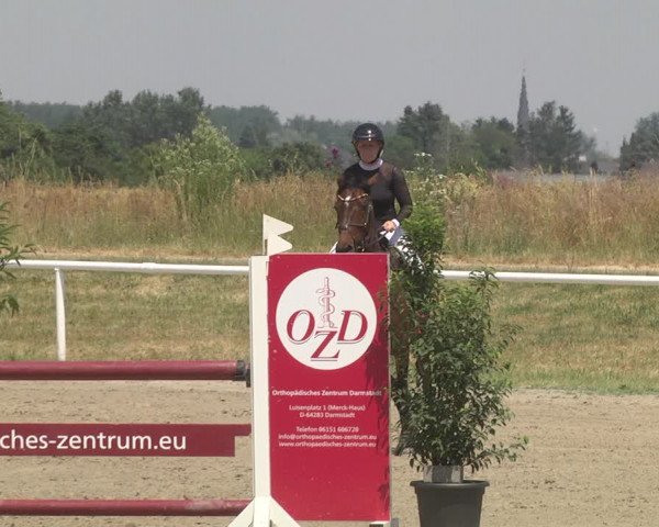 Reitturnier Biebesheim 2023