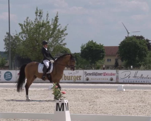 Reitturnier Rot am See- Musdorf 2023