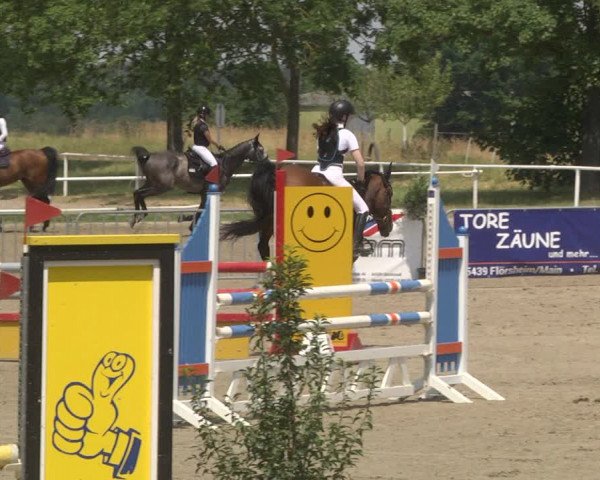 Reitturnier Biebesheim 2023