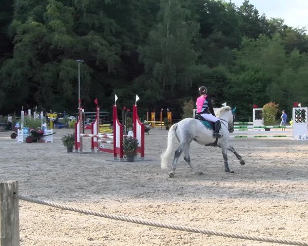 Reitturnier Meilen 2023
