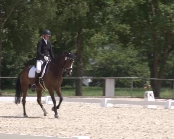 Reitturnier Rot am See- Musdorf 2023