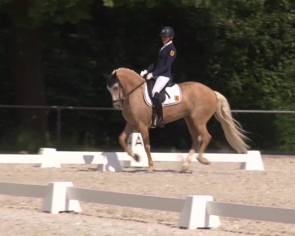 Reitturnier Rot am See- Musdorf 2023