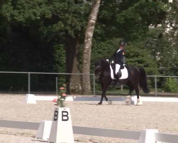 Reitturnier Rot am See- Musdorf 2023