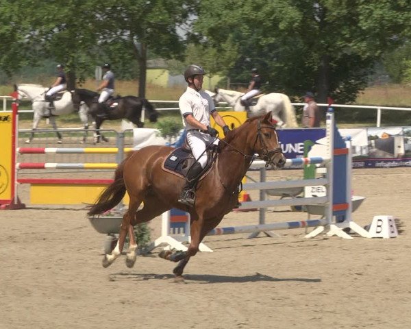 Reitturnier Biebesheim 2023