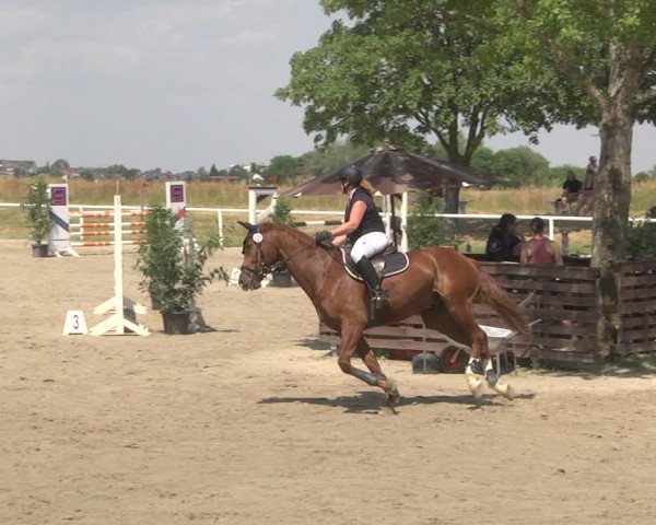 Reitturnier Biebesheim 2023