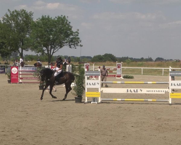 Reitturnier Biebesheim 2023