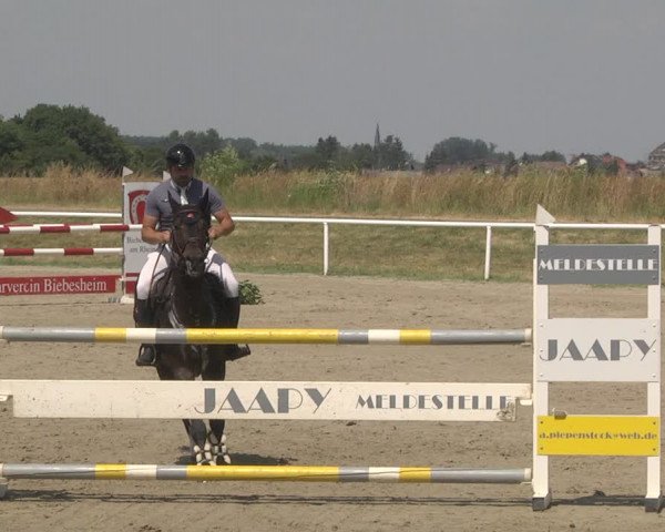 Reitturnier Biebesheim 2023