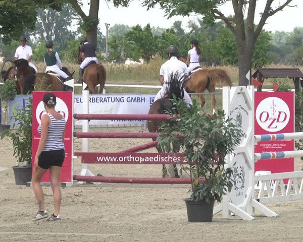 Reitturnier Biebesheim 2023