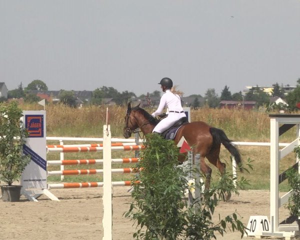 Reitturnier Biebesheim 2023