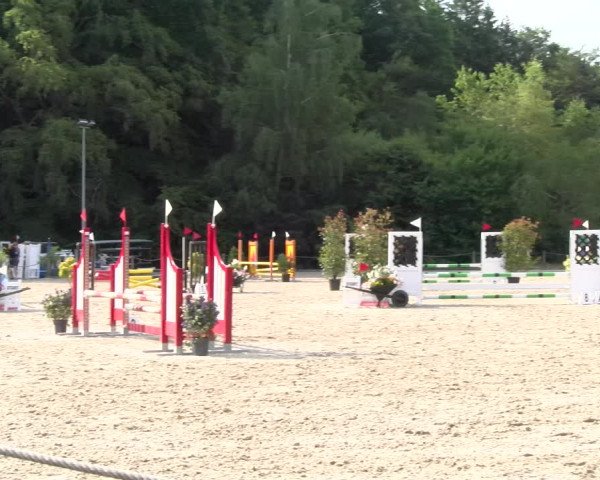 Reitturnier Meilen 2023