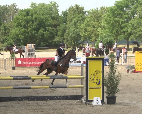 Reitturnier Biebesheim 2023