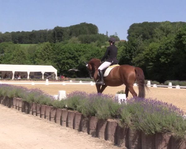 Reitturnier Lindlar - Reitanlage Dückers 2023