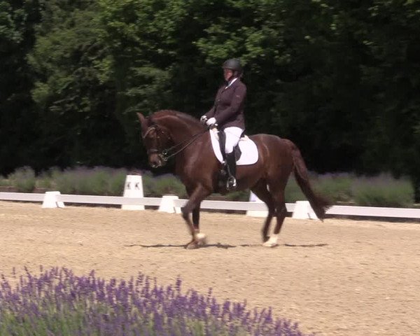Reitturnier Lindlar - Reitanlage Dückers 2023