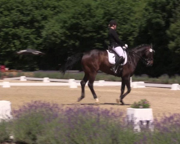 Reitturnier Lindlar - Reitanlage Dückers 2023