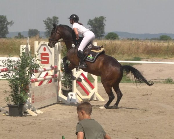 Reitturnier Biebesheim 2023
