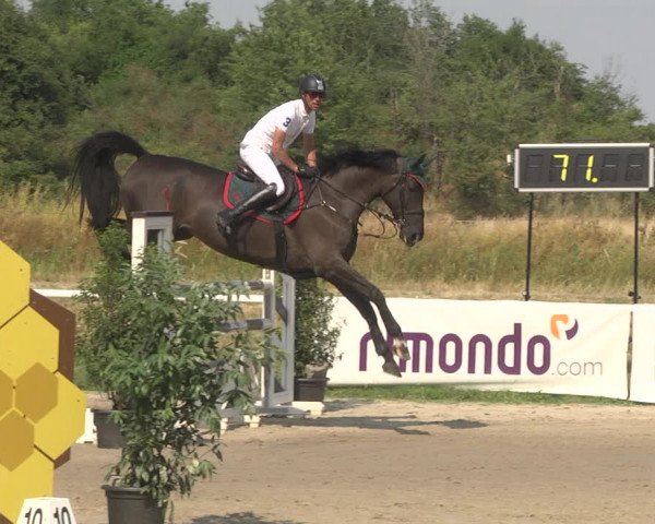 Reitturnier Biebesheim 2023