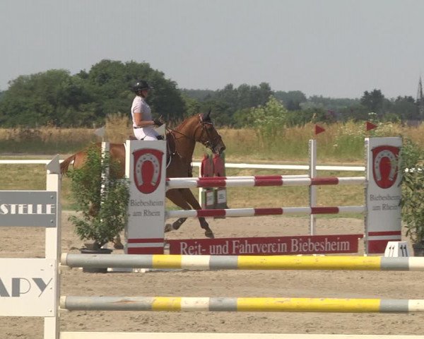 Reitturnier Biebesheim 2023