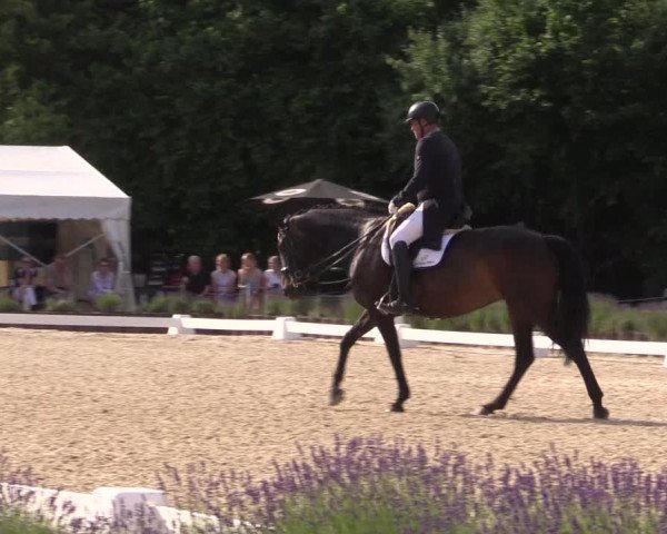 Reitturnier Lindlar - Reitanlage Dückers 2023