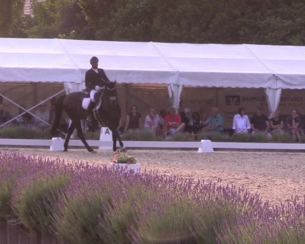 Reitturnier Lindlar - Reitanlage Dückers 2023