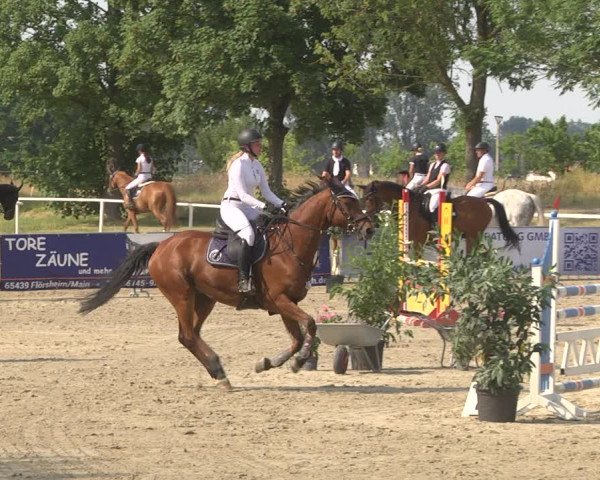 Reitturnier Biebesheim 2023