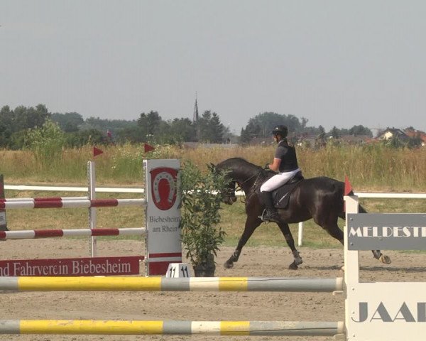 Reitturnier Biebesheim 2023