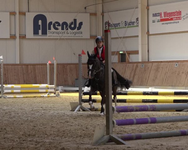 Reitturnier Ochtrup 2023